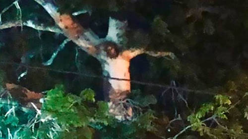 Gambar Yesus tampak di sebuah pohon di Kolombia video